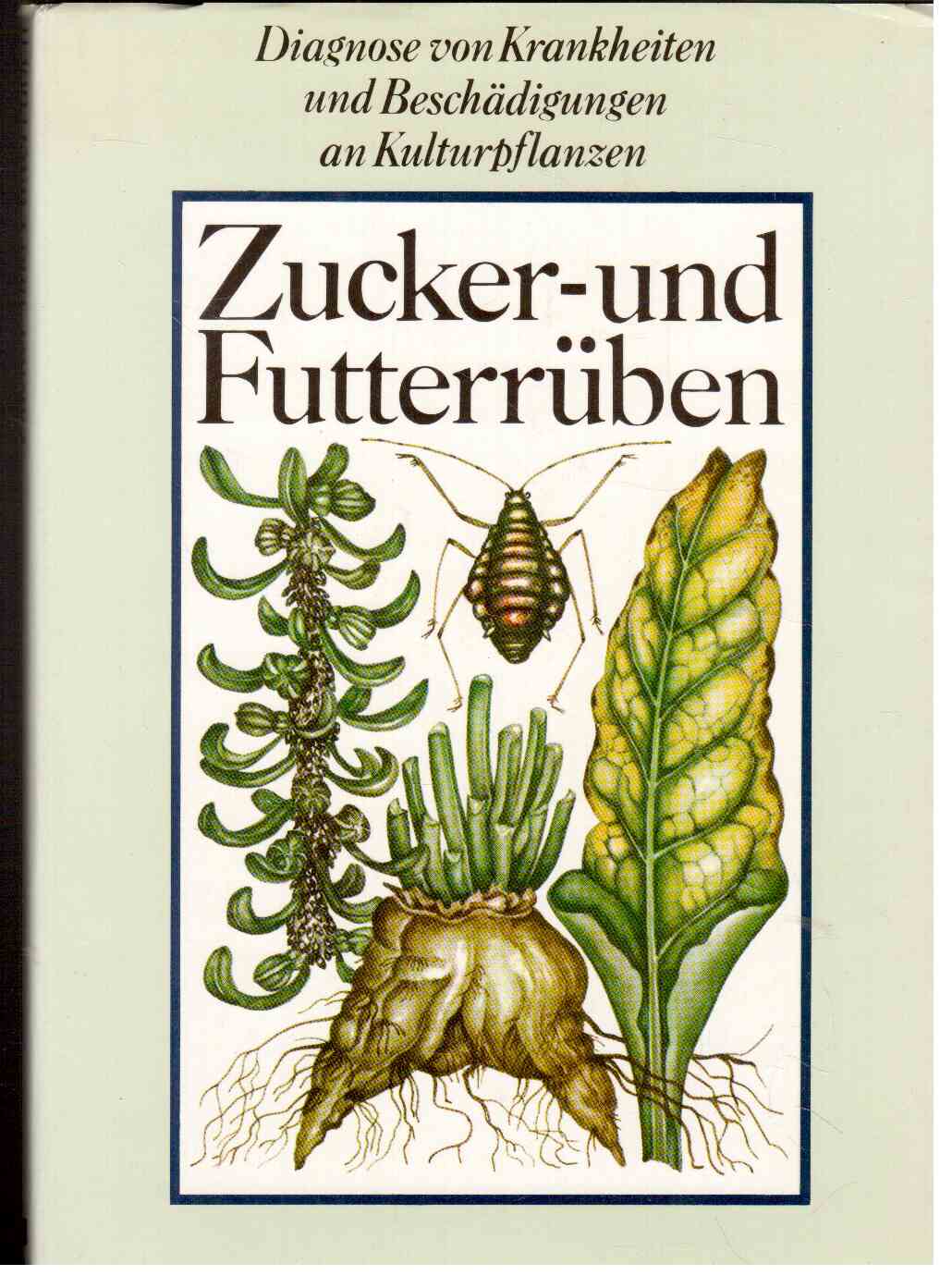 Zucker- und Futterrüben. Diagnose von Krankheiten und Beschädigungen an Kulturpflanzen Zucker- und Futterrüben. Diagnose von Krankheiten und Beschädigungen an Kulturpflanzen