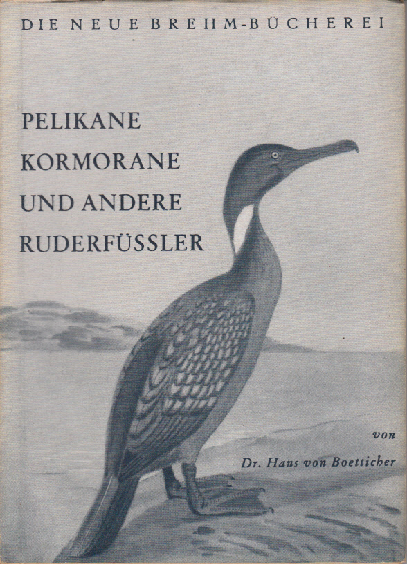 Hier klicken, um die Abbildung zu vergrößern... Pelikane, Kormorane und andere Ruderfüssler