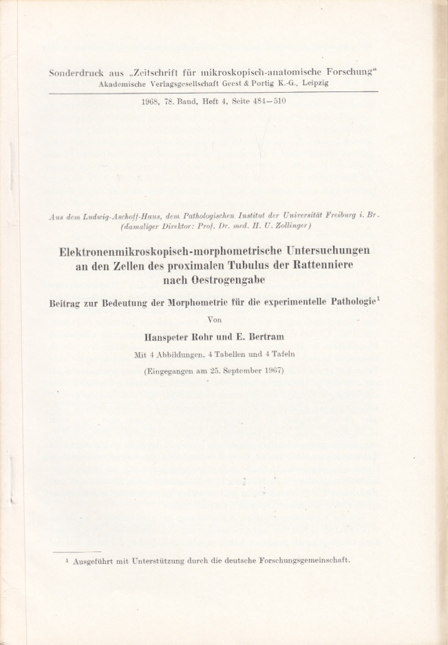 Hier klicken, um die Abbildung zu vergrößern... Elektronenmikroskopisch-morphometrische Untersuchungen an den Zellen des proximalen Tubulus der Rattenniere nach Oestrogengabe
