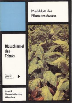 Blauschimmel des Tabaks