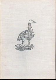 Die Liebesgeschichte einer Wildgans Die Liebesgeschichte einer Wildgans